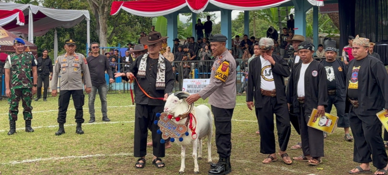 Kapolres Garut Cup Lestarikan Budaya, Pererat Silaturahmi Lewat Seni Ketangkasan Domba