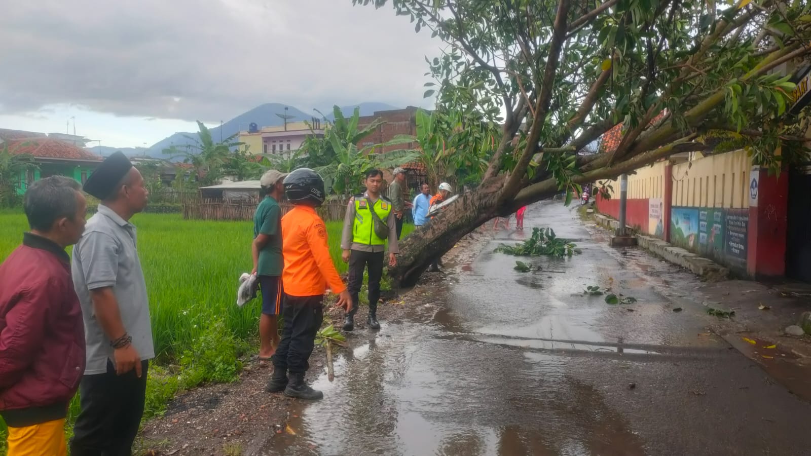 Angin Kencang dan Hujan Lebat Sebabkan Pohon Tumbang, Sinergi TNI–Polri dan BPBD Amankan Jalur di Kadungora