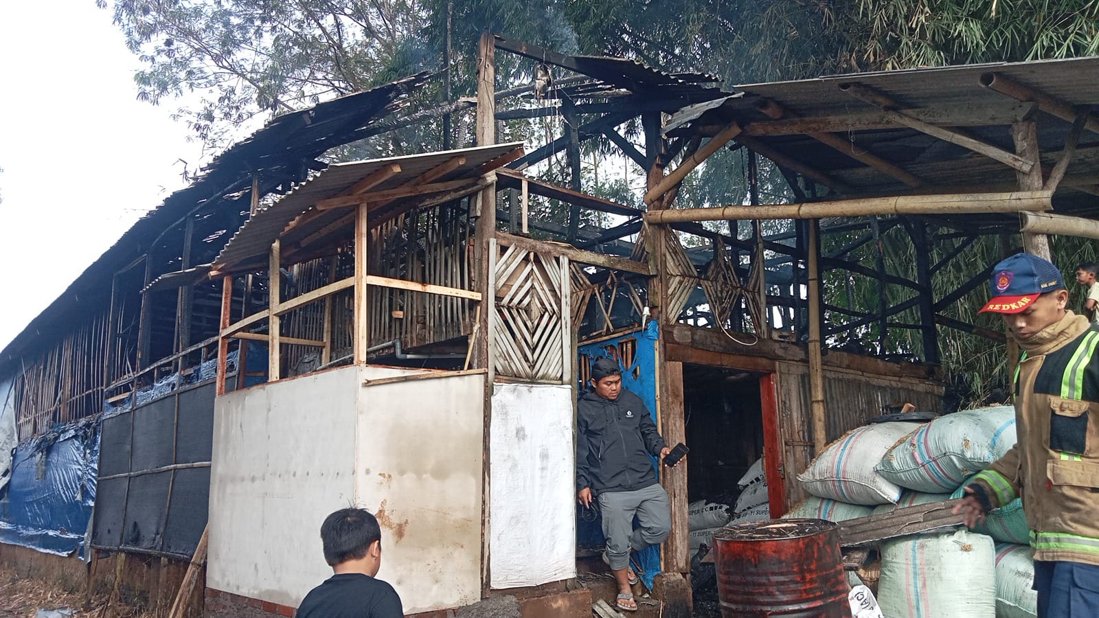 Diduga Korsleting Listrik, Kandang Ayam di Samarang Terbakar, Polisi Lakukan Cek TKP